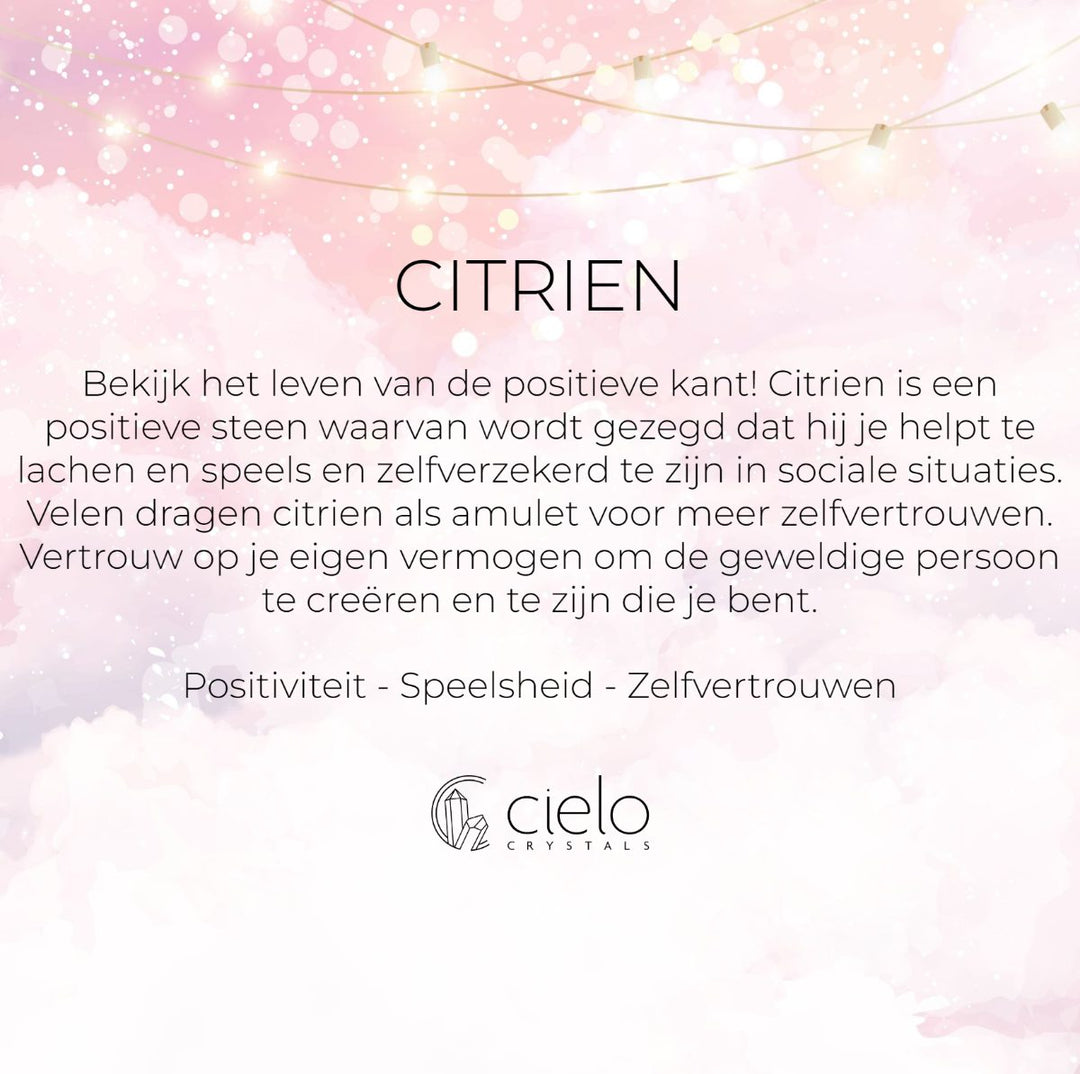 Oorbellen November Citrien Zilver